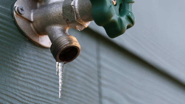 Best Plumbing Services Near Me  in Leland, NC